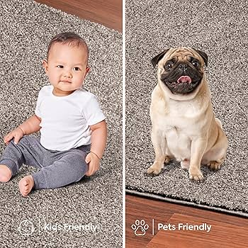 ACME FARNITURE MONTECITO RUG ラグ　140×200 Montecito Rug | Joon Loloi